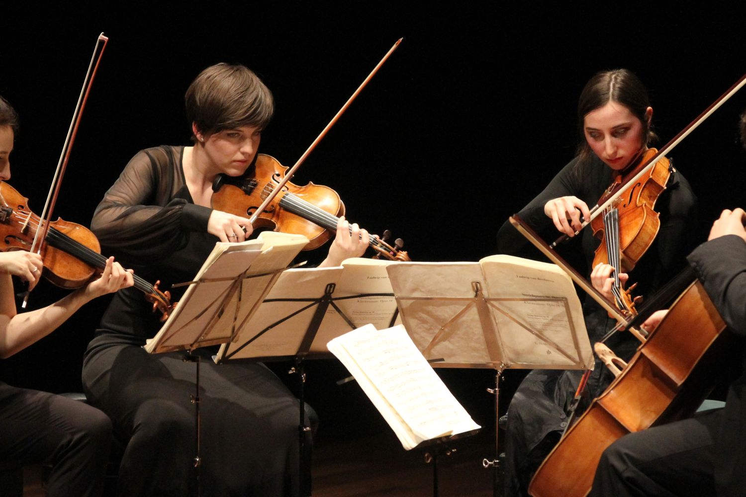 Festival Internacional de Música de Cámara Festival Internacional de Música de Cámara
