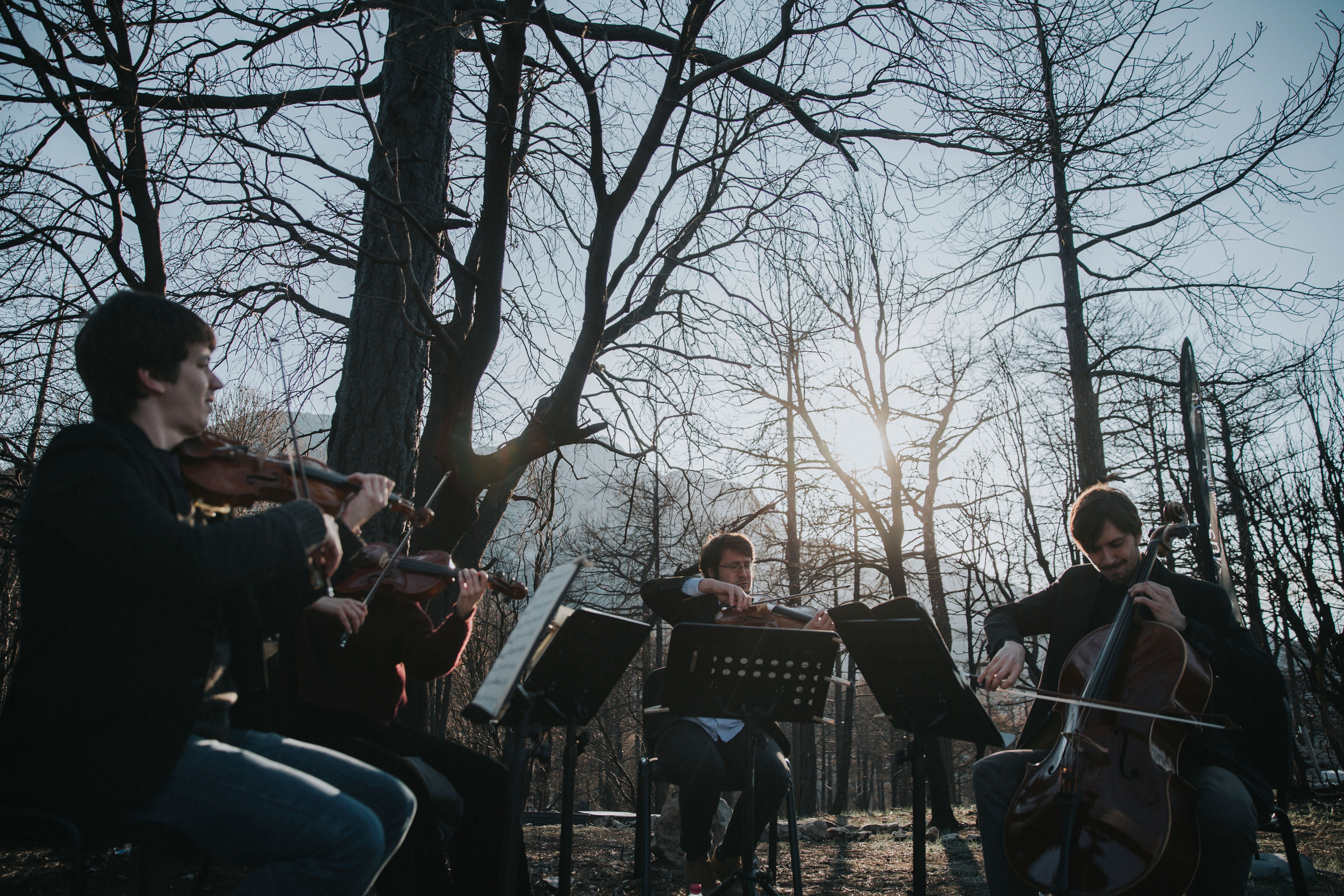 Conoce nuestros festivales